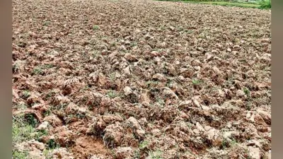 पटना : सूखे से निबटने को सरकार तैयार, आकस्मिक फसल योजना के लिए 9264 लाख रुपये से अधिक का प्लान