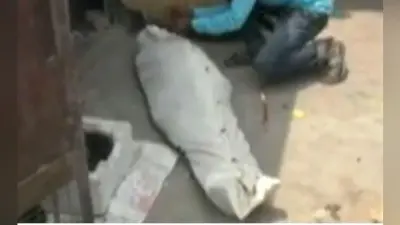 पाकुड़ : बच्चे को सियार के झुंड ने नोच खाया
