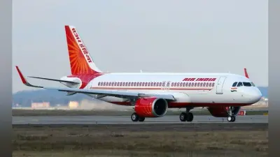 शिकायत के बाद एयर इंडिया ने करायी जांच, विमान में नहीं मिला खटमल