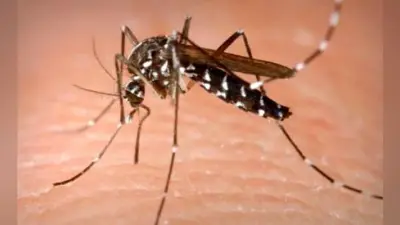 सॉल्टलेक के अस्पताल में डेंगू से मौत