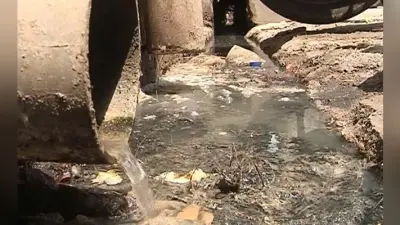 जल जमाव से बढ़ा मच्छरों का प्रकोप नगर निगम नहीं करा रहा फॉगिंग