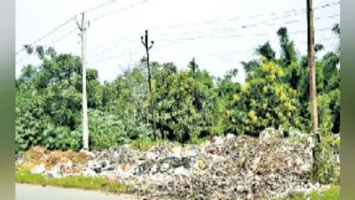 दुर्गंध ऐसी कि सांस रोक कर गुजरना पड़ता है इस सड़क से