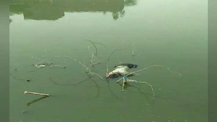 तालाब में मिला दो दिन से गायब युवक का शव