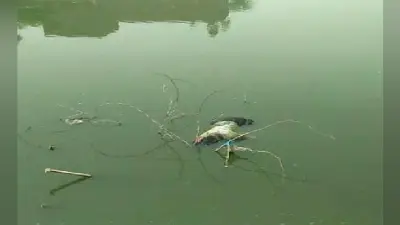 तालाब में मिला दो दिन से गायब युवक का शव