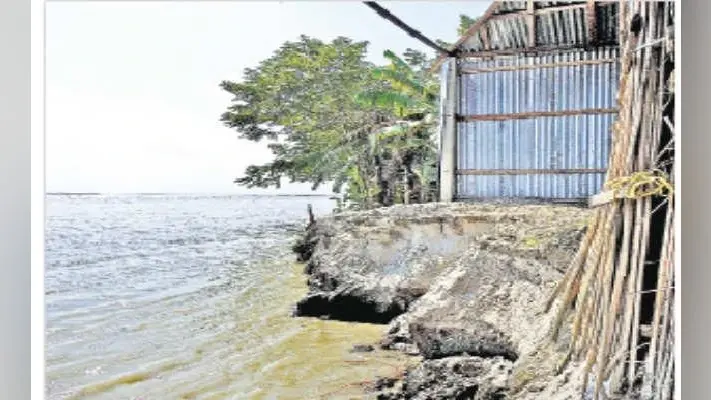 महानंदा नदी से सटे बारिओल में कटाव होने से कई एकड़ भूमि नदी में समायी