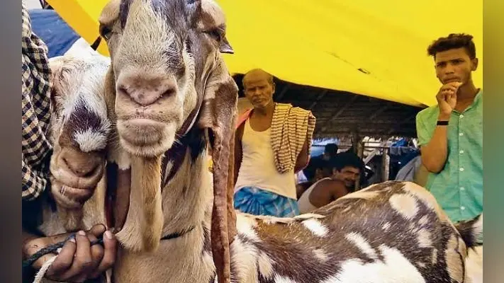 पटना : गांधी मैदान में कल सुबह 8 बजे होगी बकरीद की नमाज