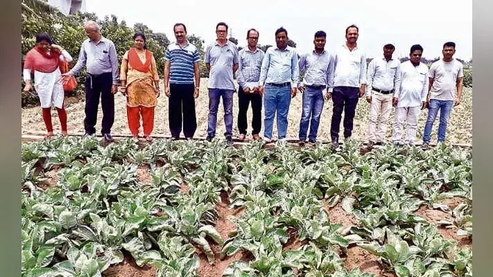 बिहारशरीफ : खेती के टिप्स जानने कृषि वैज्ञानिक पहुंचे नालंदा