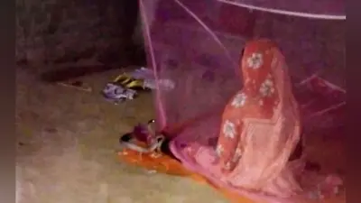 मुंगेर : महिला के पैर में डेढ़ घंटा लिपटा रहा कोबरा