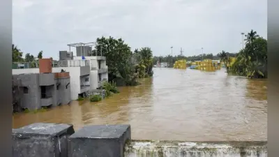 बाढ़ का पानी उतरने के बावजूद कम नहीं हुई हैं केरल की मुसीबतें