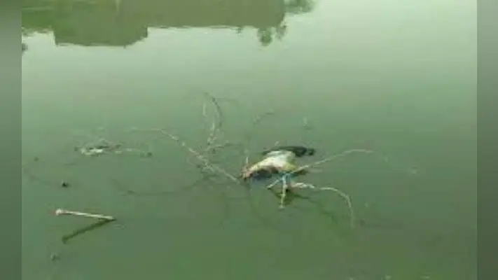 तालाब से युवती का शव बरामद हत्या की आशंका