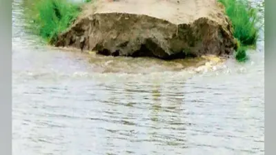 हवाकोल बांध पर मंडरा रहा कटाव का खतरा, धनतोला शिवालय नदी में समाया