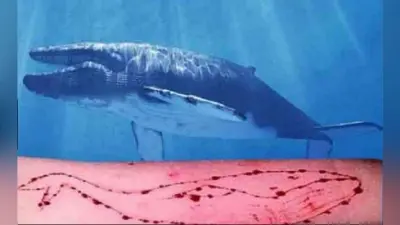 Blue Whale Game का नया शिकार बना 22 साल का इंजीनियर, पढ़ें पूरी खबर…