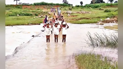 हर बार बरसात में टापू बन जाता है बुढ़मू का चकलू टोल, कब बदलेगी ये तस्वीर