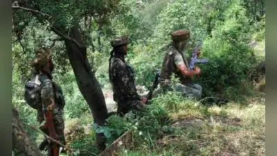 सर्जिकल स्ट्राइक : तेंदुए के मल-मूत्र के जरिये सैनिकों ने दुश्मन को दिया चकमा