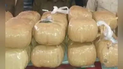 28 किलो गांजे व देशी शराब के साथ चार लोग गिरफ्तार, उत्पाद विभाग की टीम ने तलाशी के दौरान की कार्रवाई