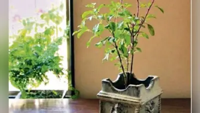 ज्योतिष: घर पर पर्यावरण वास्तु का भी पड़ता है प्रभाव