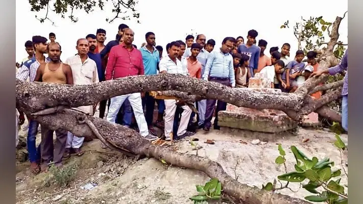 गोपालगंज : तीन छात्रों पर गिरी पेड़ की डाली, एक मरा