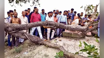 गोपालगंज : तीन छात्रों पर गिरी पेड़ की डाली, एक मरा