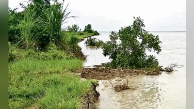 पेड़ों व वन्यजीवों के नदी में विलीन होने का खतरा