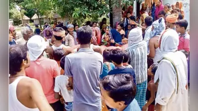 सीवान में डाली काटने के विवाद में वृद्ध की हत्या