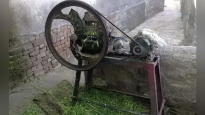 चारा काटने की मशीन से महिला की गर्दन कटी