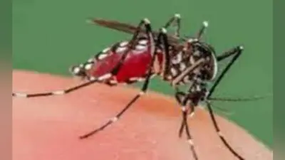 हावड़ा में डेंगू से 12वीं की छात्रा की मौत