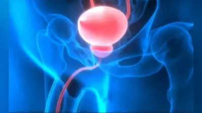 Health News: प्रोस्टेट की समस्याओं की पहचान के लिए स्मार्ट स्क्रीनिंग जरूरी