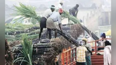 सरकार ने चीनी उद्योग के लिए 5,500 करोड़ रुपये का पैकेज किया मंजूर