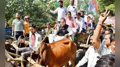 रांची : बैलगाड़ी लेकर कांग्रेस ने किया विरोध प्रदर्शन