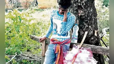 गालूडीह : हवा मिठाई बेचने आया था युवक, ग्रामीणों ने बच्चा चोर समझ पकड़ा, पेड़ से बांध की पिटाई