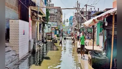 जिनको वोट दिया, वही गायब हो गये बरसाती मेढक की तरह