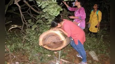 मुंबई में पर्यावरण बचाने की लड़ाईः 5 सालों से पर्यावरण कार्यकर्ताओं और MMRC के बीच चल रही लड़ाई