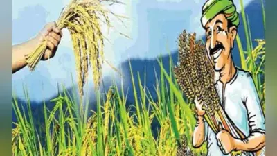 जैविक खेती की ओर भारतीय कृषि