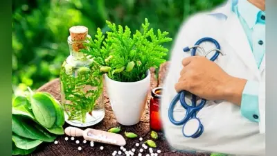 काउंसिल फॉर रिसर्च इन आयुर्वैदिक साइंस ने इन पदों पर निकाली बंपर वैकेंसी, ऐसे करें आवदेन