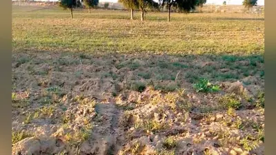रांची में गैर मजरुआ खास जमीन की भरमार, पर खरीद-बिक्री आसान नहीं