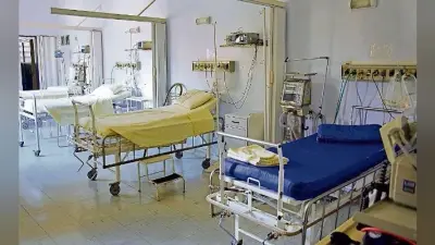 पटना : 450 अस्पतालों को एनजीटी के आदेशों के पालन का दिशानिर्देश, जैविक कचरे का जल्द करें निष्पादन