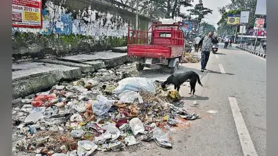 जेएनएसी क्षेत्र में साफ-सफाई पर सालाना चार करोड़ 78 लाख खर्च होंगे, टेंडर 26 को