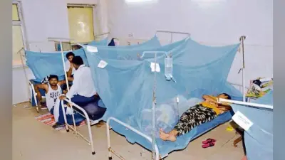 जलजमाव के इलाके में डेंगू का अधिक कहर