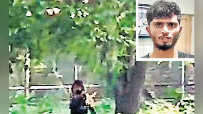 दिल्ली में बिहार का युवक शेर के बाड़े में कूदा, चिढ़ाया, फिर भी शेर ने बख्श दी जान