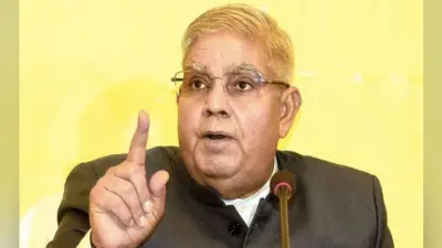उच्च शिक्षा व्यवस्था लकवे का शिकार : राज्यपाल