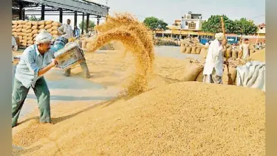 धान खरीद घोटाले का आरोपी बना को-ऑपरेटिव बैंक का निदेशक