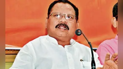 विधानसभा चुनाव 2019 : भाजपा 65 पार, विपक्ष कहीं नहीं : गिलुवा