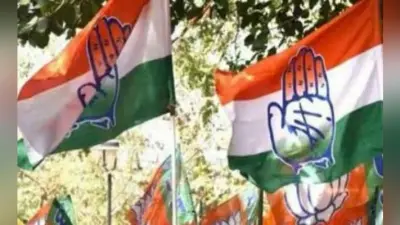 विधानसभा चुनाव 2019 : कांग्रेस की जन आक्रोश रैली कल, तैयारी में जुटे कार्यकर्ता