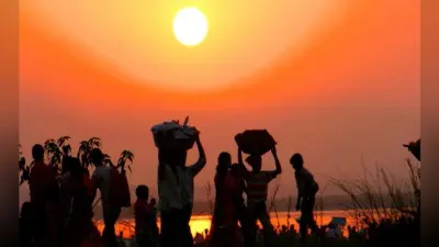 प्रकृति के साथ सहजीविता बेहतर