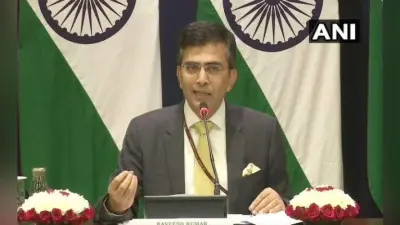 विदेशी सांसदों का दौरा कश्मीर मुद्दे का अंतरराष्ट्रीयकरण करने के लिये बिल्कुल नहीं था : विदेश मंत्रालय