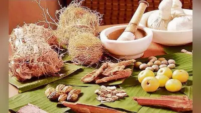 सरकारी अस्पतालों में दो माह बाद होमियोपैथ और आयुर्वेदिक दवाएं