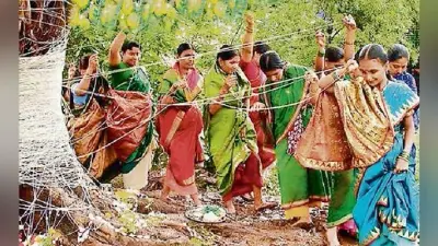 अक्षय नवमी आज, आंवले की पूजा से मिलेगा महा वरदान, उत्तम स्वास्थ्य की होगी प्राप्ति