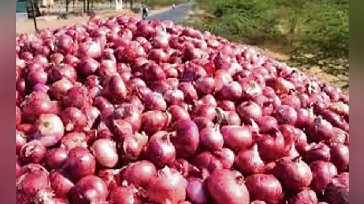 रांची : बिक्री शुरू, पीडीएस दुकानों में भी आज से मिलेगा प्याज