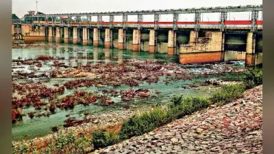 पंजा ने ध्वस्त किया था लाल गढ़ का किला अब कमल का राज, झामुमो का भी प्रभाव