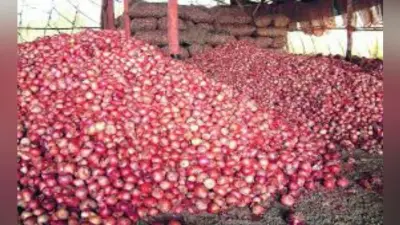 कीमतों पर काबू पाने के लिए 4,000 टन प्याज का होगा आयात, MMTC ने निकाली निविदा